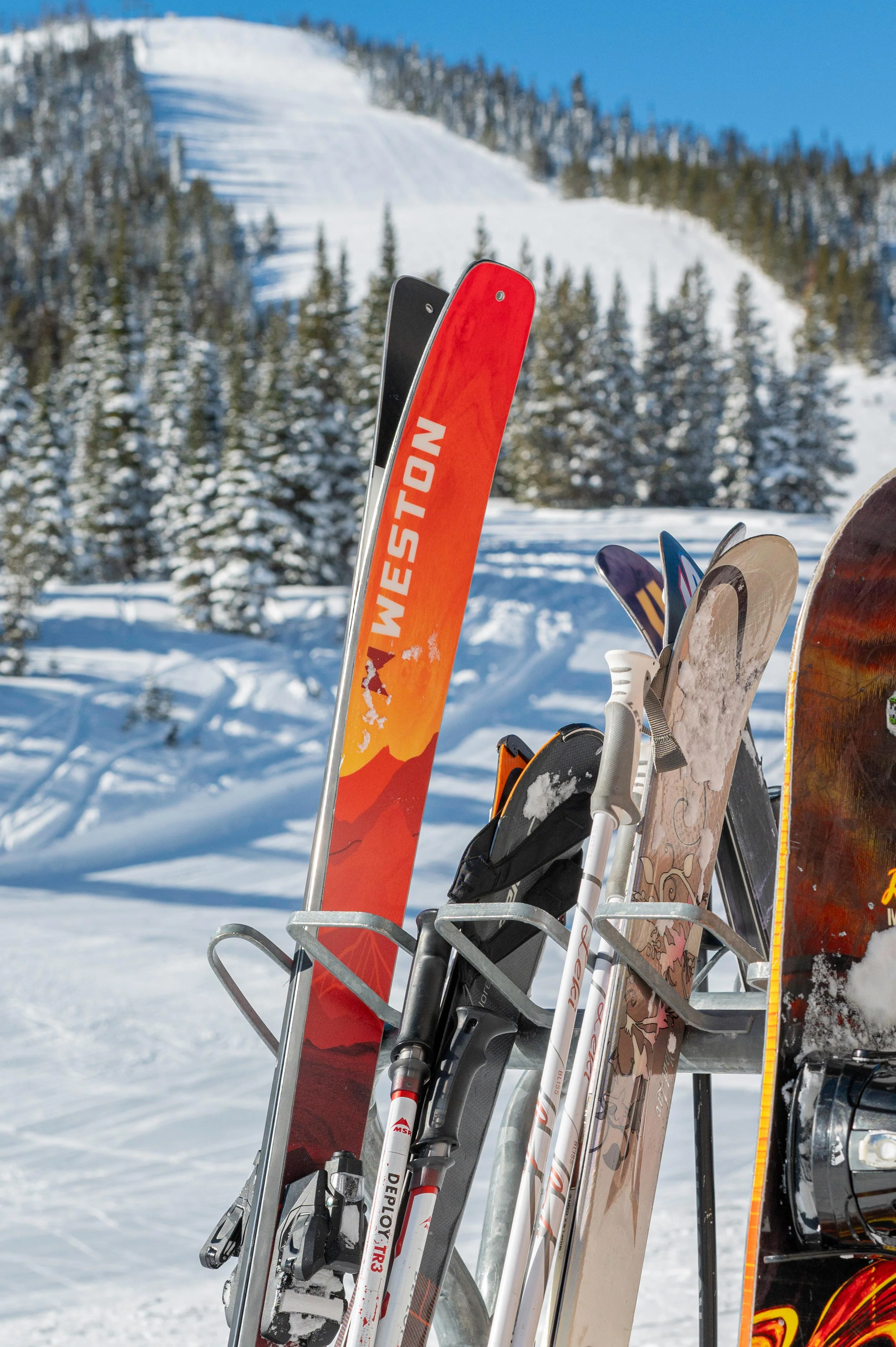 Alpenglow 85 - Image 9