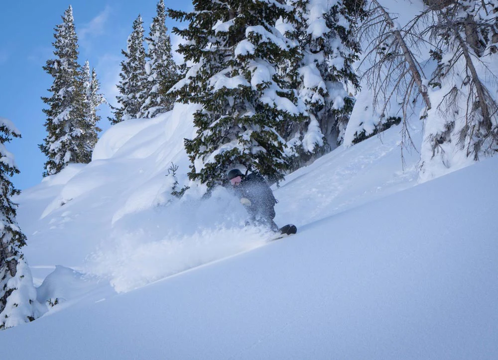 Eclipse Splitboard - Image 3