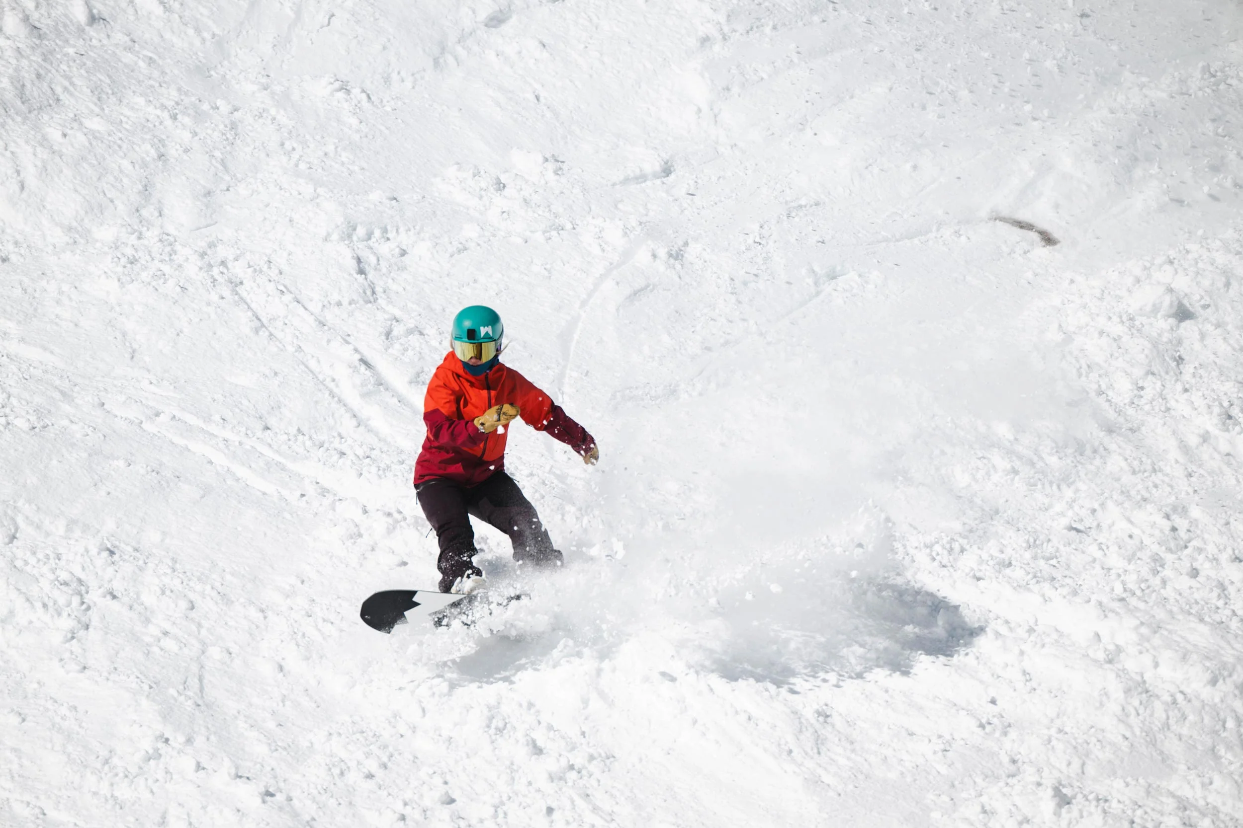 Gnarnia Snowboard - Image 12