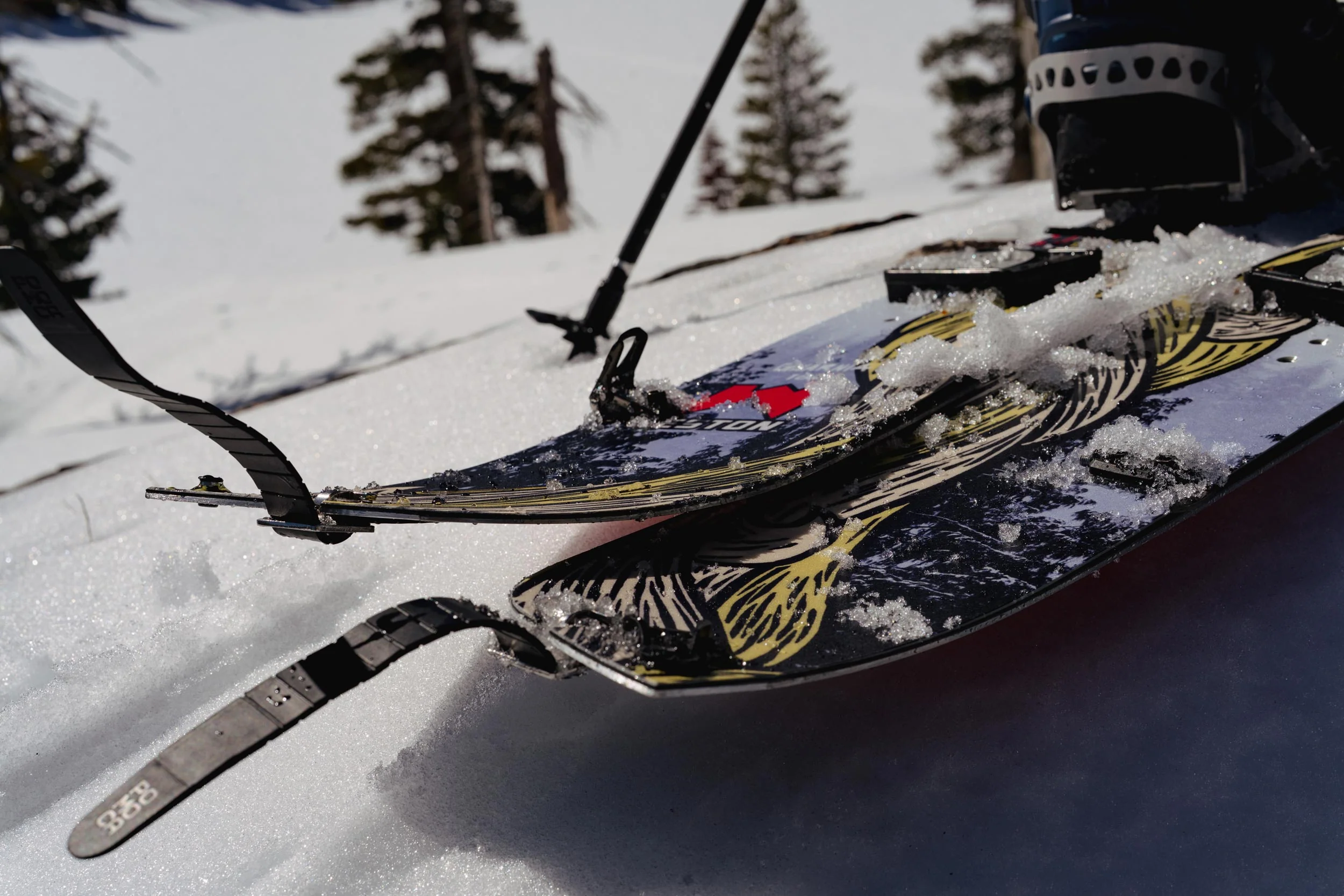 Gnarnia Splitboard - Image 17