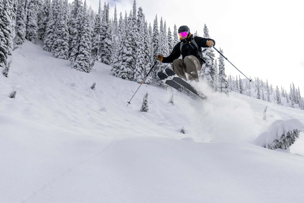 Grizzly 118 - Image 5