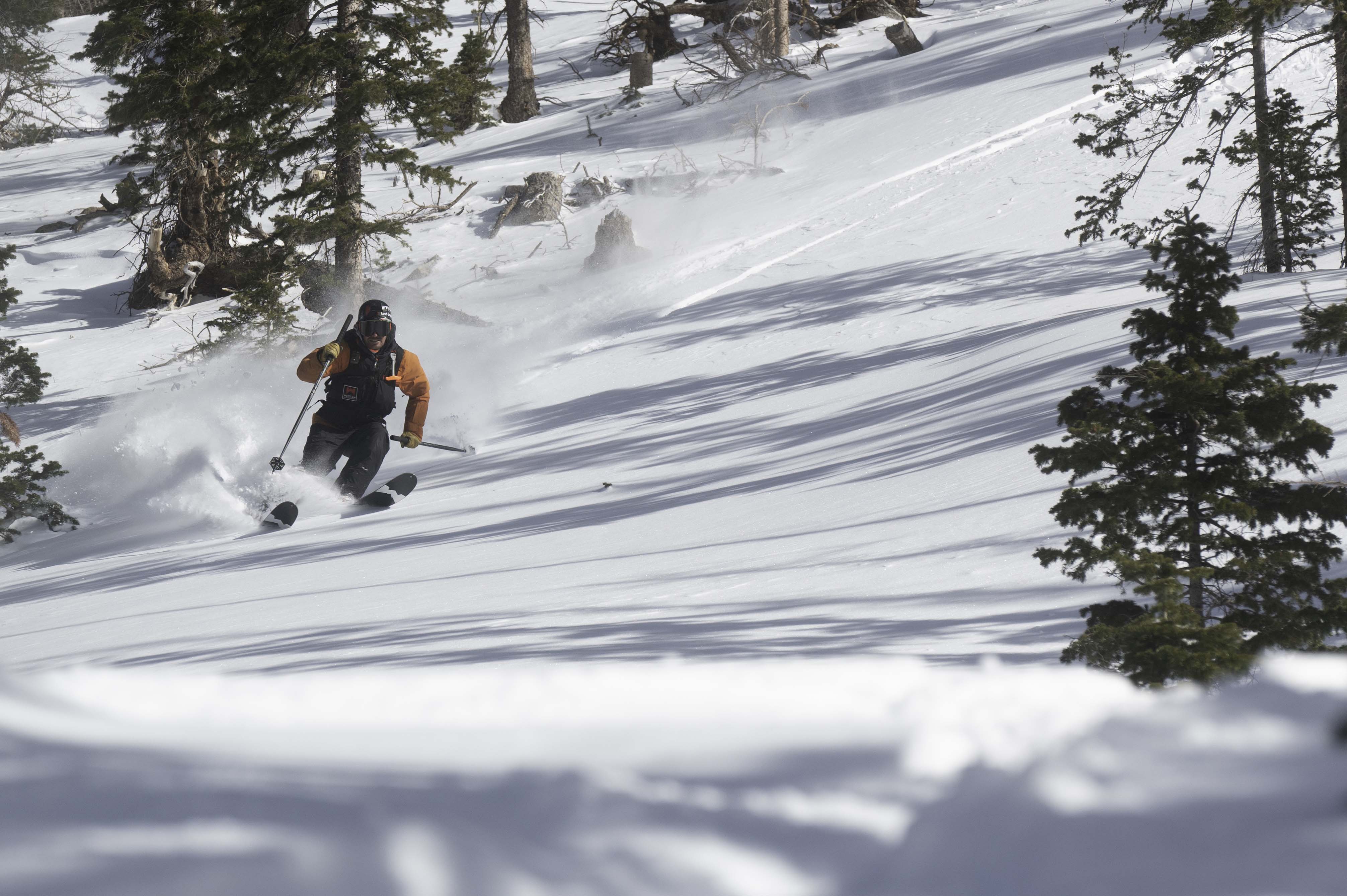 Grizzly 118 - Image 8